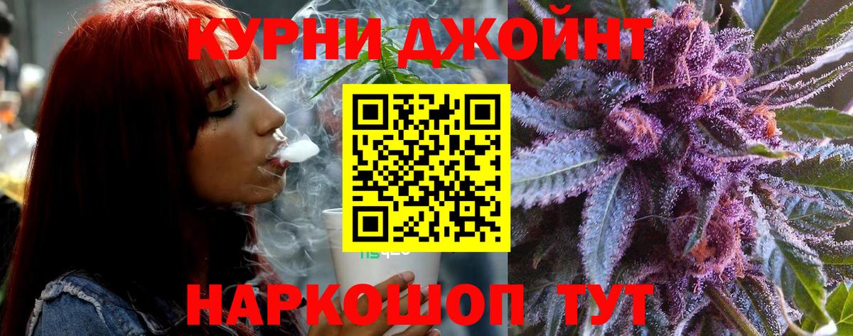 Шишки марихуана конопля  Конопля план  МАРИХУАНА тримм  Вход с VPN  Сосновый Бор 